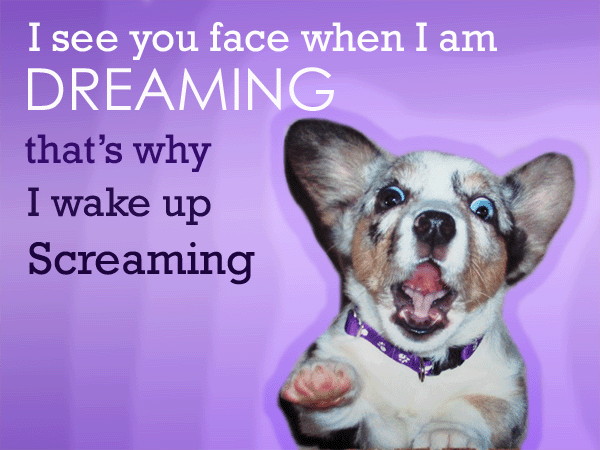 think-i-see-your-face-when-i-am-dreaming