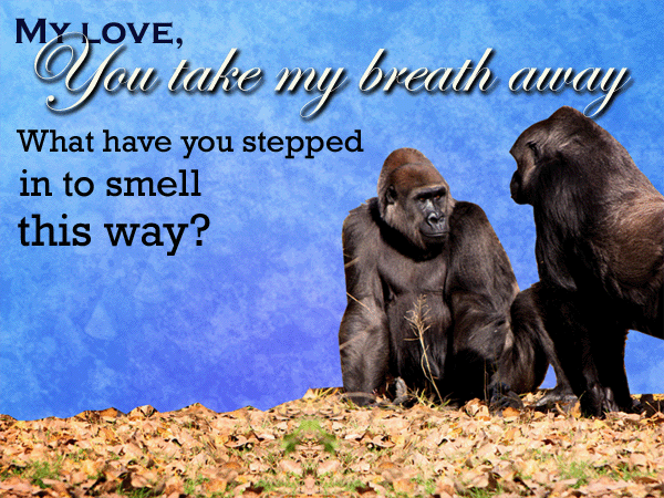 think-my-love-you-take-my-breath-away